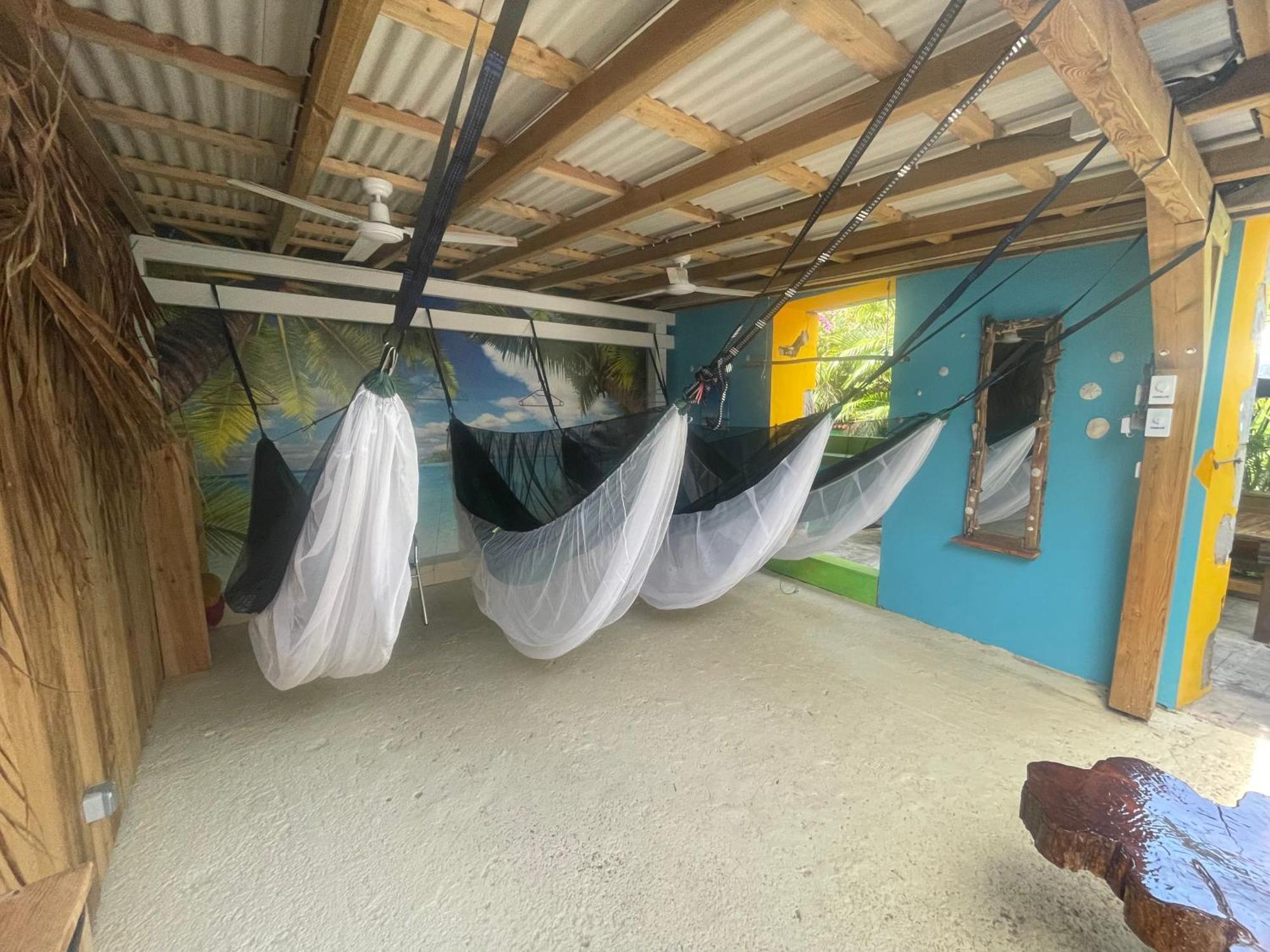 Les Hamacs Aux Saintes Bis Hotell Terre-De-Haut Exteriör bild